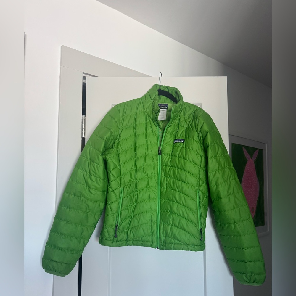 Patagonia Green Down Sweater
